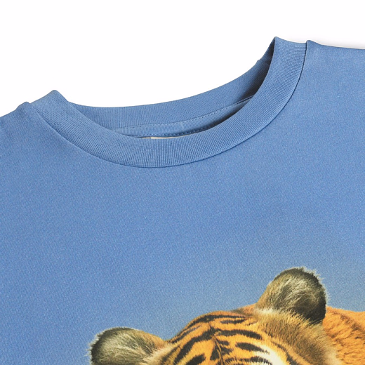 Футболка Rubin Tiger on Blue от бренда MOLO Голубой Разноцветный