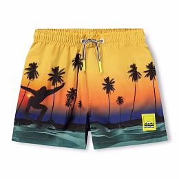 Шорты Niko Sunset Skate от бренда MOLO