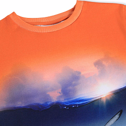 Футболка Raul Into The Sunset от бренда MOLO Оранжевый Голубой