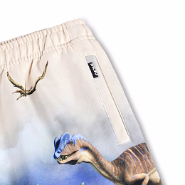 Шорты Amil Hot Spring Dinos от бренда MOLO