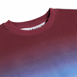 Свишот Miksi Bengal Tiger от бренда MOLO