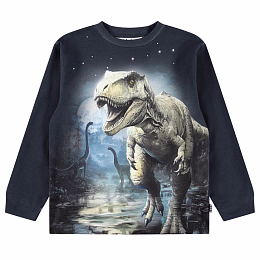 Свитшот Rube Moonlight Rex от бренда MOLO