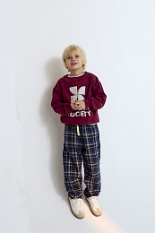 Свитшот TNS Logo Plum Fantasy от бренда The New Society