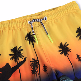 Шорты Niko Sunset Skate от бренда MOLO