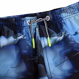 Шорты Niko Into The Blue от бренда MOLO