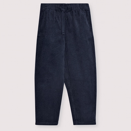 Штаны Nicol Infinite Navy от бренда The New Society