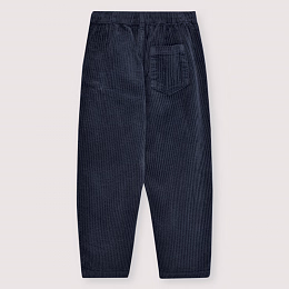 Штаны Nicol Infinite Navy от бренда The New Society