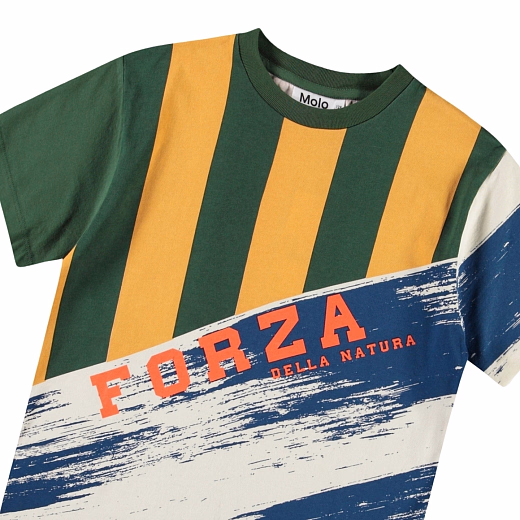 Футболка Rodney Mash up от бренда MOLO Разноцветный