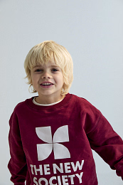 Свитшот TNS Logo Plum Fantasy от бренда The New Society