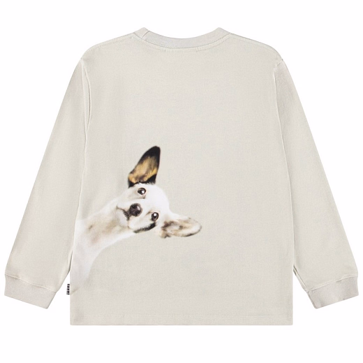 Лонгслив Rube Curiosity от бренда MOLO