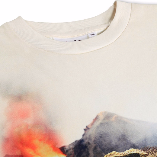 Футболка Riley Hot Spring Dinos от бренда MOLO 