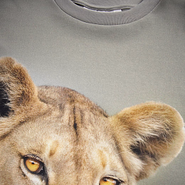 Футболка Riley Leo от бренда MOLO Серый