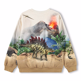 Свитшот Miksi Hot Spring Dinos от бренда MOLO
