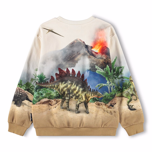 Свитшот Miksi Hot Spring Dinos от бренда MOLO
