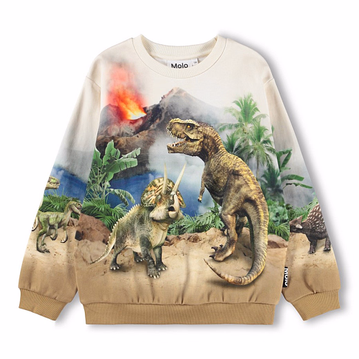 Свитшот Miksi Hot Spring Dinos от бренда MOLO