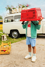 Носки Botanical Green от бренда Sproet & Sprout