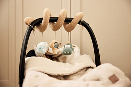 Развивающая спираль Машинка от бренда Jollein