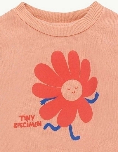 Свитшот розовый TINY SPECIMEN от бренда Tinycottons