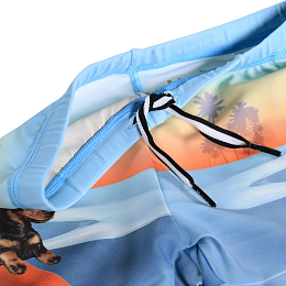 Плавки Norton Placed Skate Fun от бренда MOLO