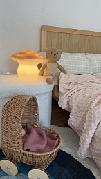 Коляска для кукол плетеная от бренда Egmont Toys