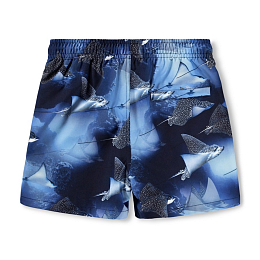 Шорты Niko Into The Blue от бренда MOLO