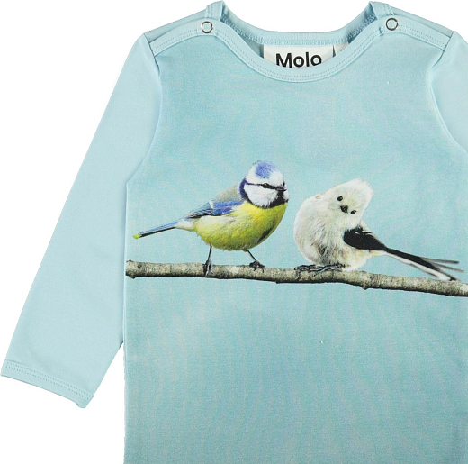 Боди Foss Birdie friends от бренда MOLO