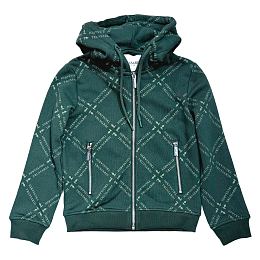 Толстовка Green Logo от бренда Trussardi