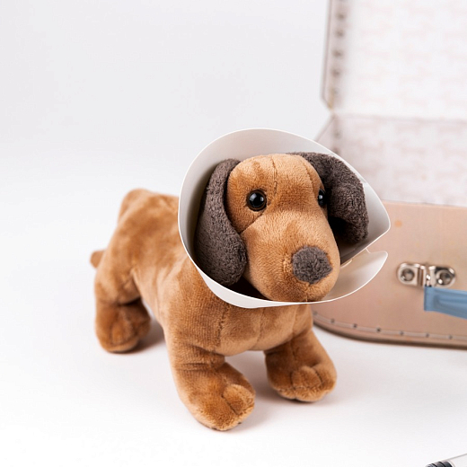 Игровой набор "Ветеринар" от бренда Egmont Toys