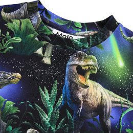 Футболка Ralphie Dinorama от бренда MOLO Темно-синий