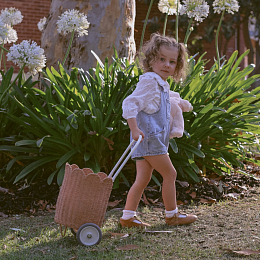 Корзинка-тележка Petal Luggy Rose от бренда Olli Ella