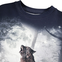 Свитшот Miksi Moonlit Wolves от бренда MOLO
