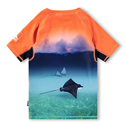 Футболка Neptune Into The Sunset от бренда MOLO