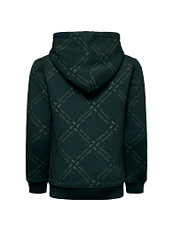 Толстовка Green Logo от бренда Trussardi