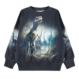 Свитшот Mattis Twilight Dinos от бренда MOLO