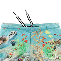Плавки Norton Placed Happy Ocean от бренда MOLO