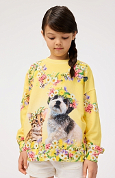 Свитшот Maxi Sweet Maggie от бренда MOLO