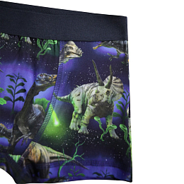 Трусы 2шт Justin Dino Galaxy от бренда MOLO