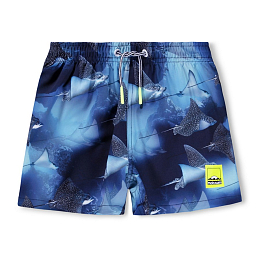 Шорты Niko Into The Blue от бренда MOLO