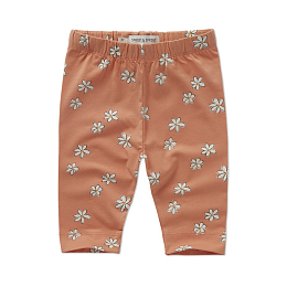 Велосипедки Daisies Print от бренда Sproet & Sprout