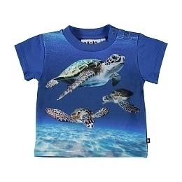 Футболка Baby Turtles от бренда MOLO Синий Разноцветный