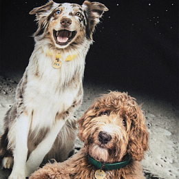 Лонгслив Reif Moon Friends от бренда MOLO