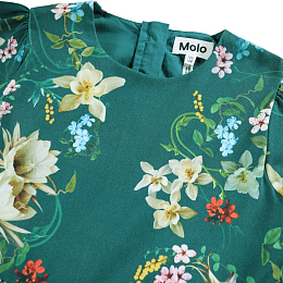 Платье Cece Cosmic Paisley от бренда MOLO