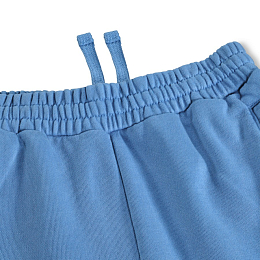 Шорты Ador Swell Blue от бренда MOLO