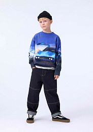 Свитшот Mattis Car Blue от бренда MOLO