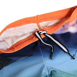 Плавки Norton Placed Into The Sunset от бренда MOLO