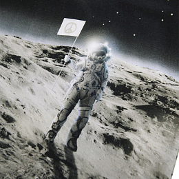 Футболка Riley Moon Traveller от бренда MOLO Черно-белый