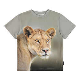 Футболка Riley Leo от бренда MOLO Серый