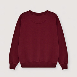 Свитшот TNS Logo Plum Fantasy от бренда The New Society