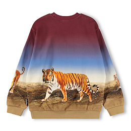 Свишот Miksi Bengal Tiger от бренда MOLO