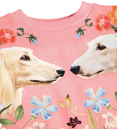 Свитшот Maxi Afghan Hounds от бренда MOLO